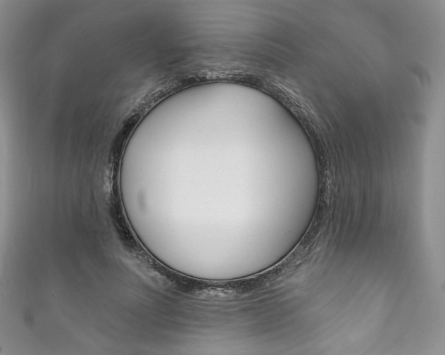 X0000111160691200906301058
