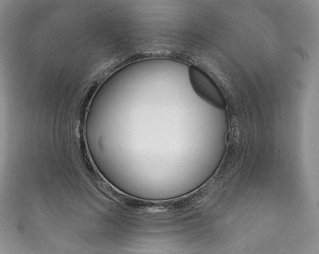 X0000111160692200906301058