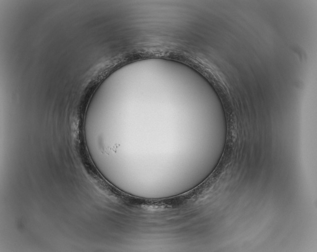 X0000111160693200906301058