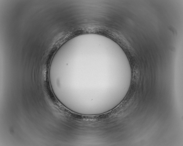 X0000111160694200906301058
