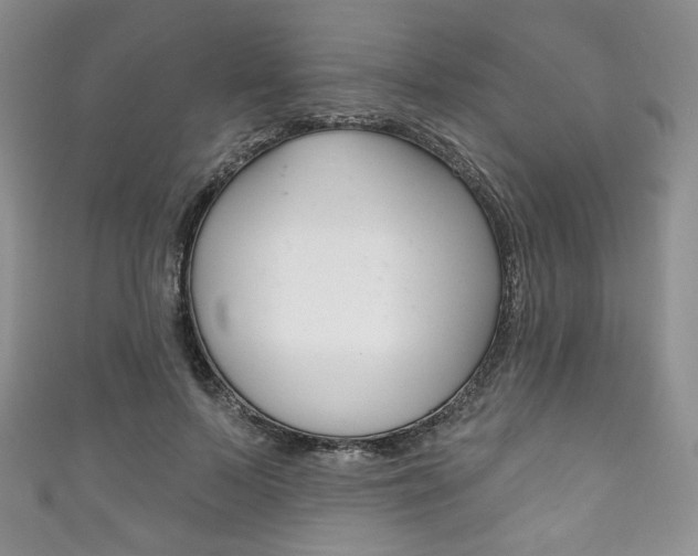 X0000111160695200906301058