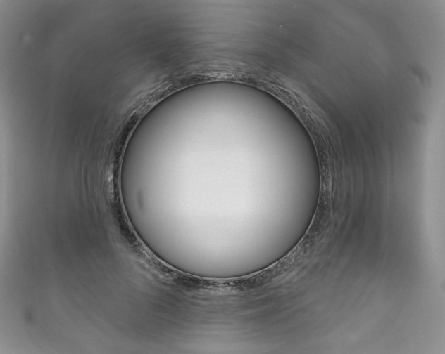 X0000111160696200906301058