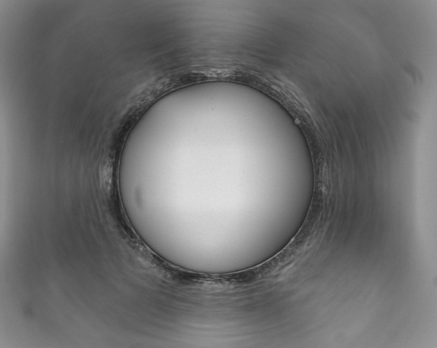 X0000111160697200906301058
