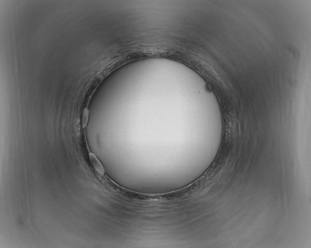 X0000111160700200906301058