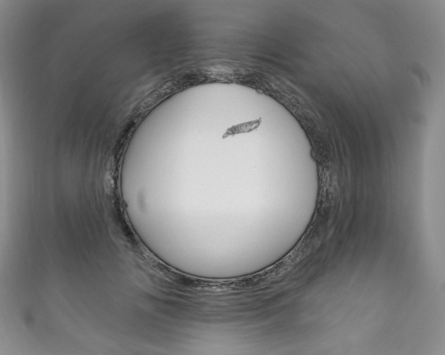X0000111160702200906301058