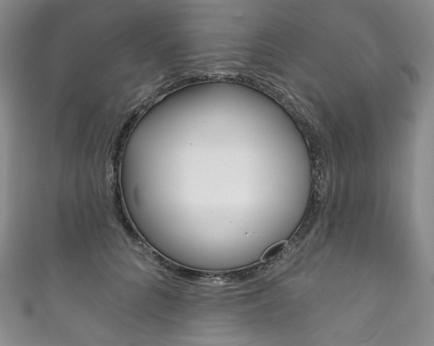 X0000111160704200906301058
