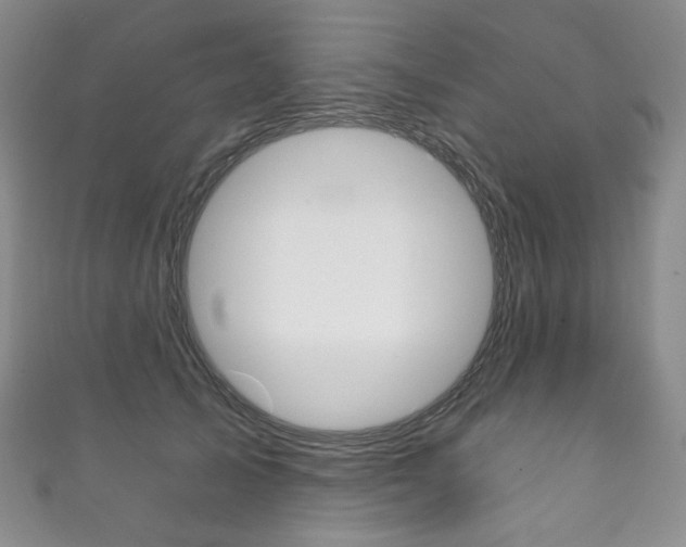 X0000111160705200906301058
