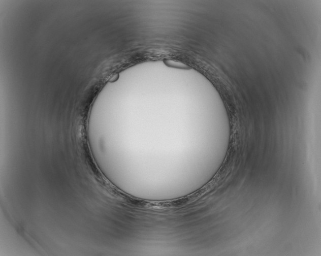 X0000111160706200906301058