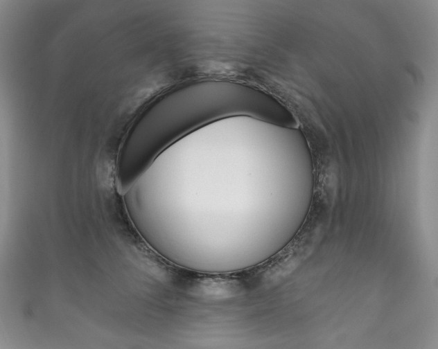 X0000111160708200906301058