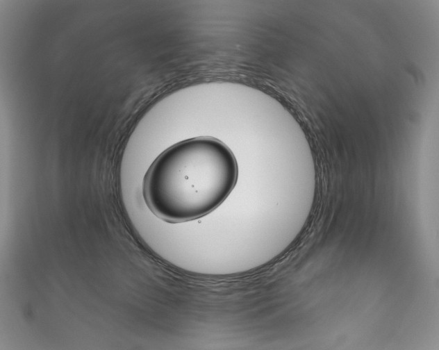 X0000111160709200906301058