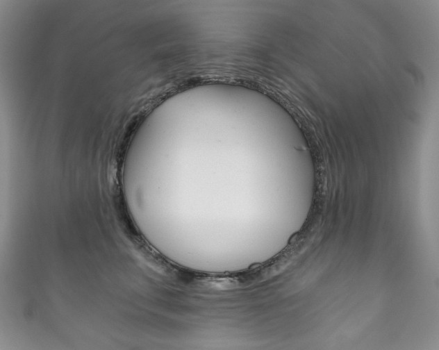 X0000111160711200906301058