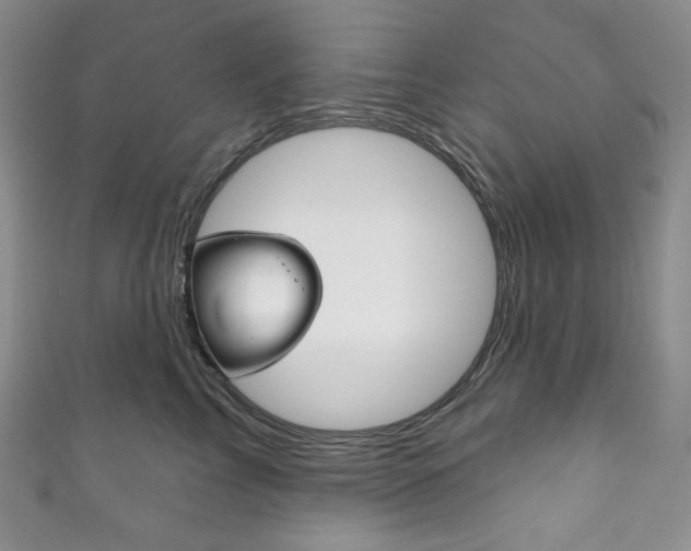X0000111160713200906301058