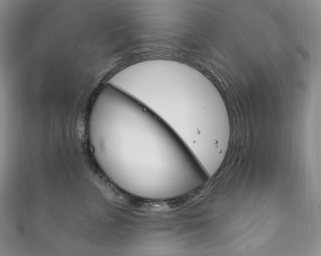 X0000111160715200906301058