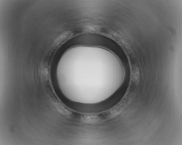 X0000111160716200906301058