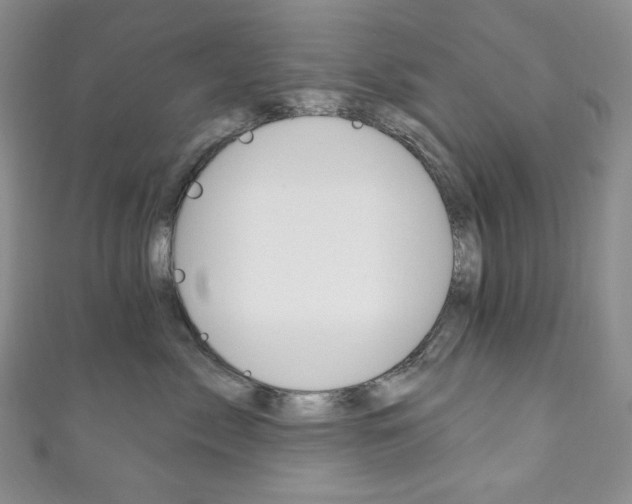 X0000111160717200906301058
