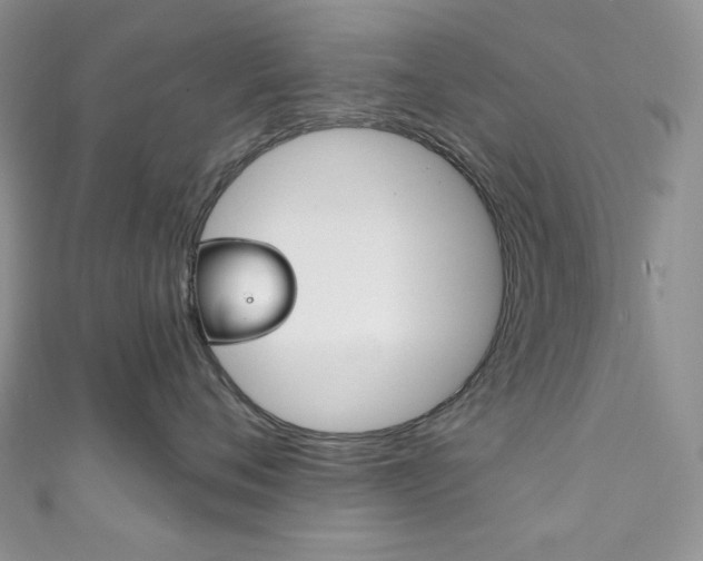 X0000111160720200906301058