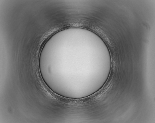 X0000111160721200906301057