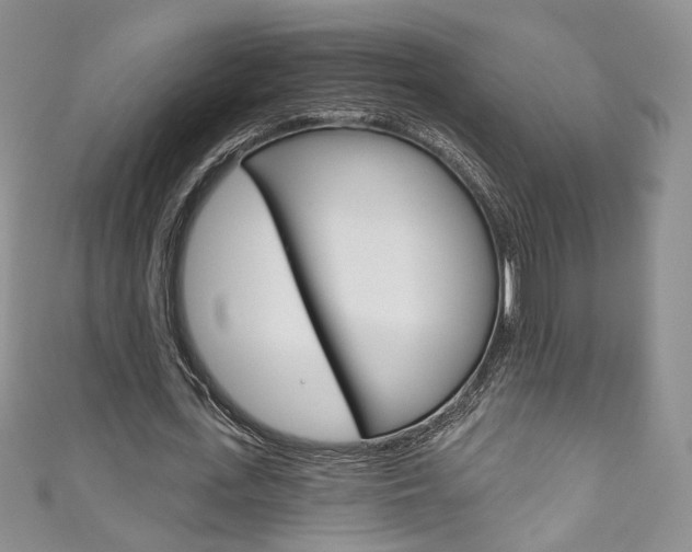 X0000111160723200906301057