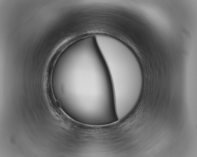 X0000111160724200906301057