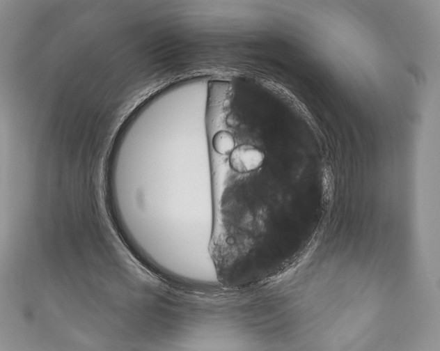 X0000111160725200906301057