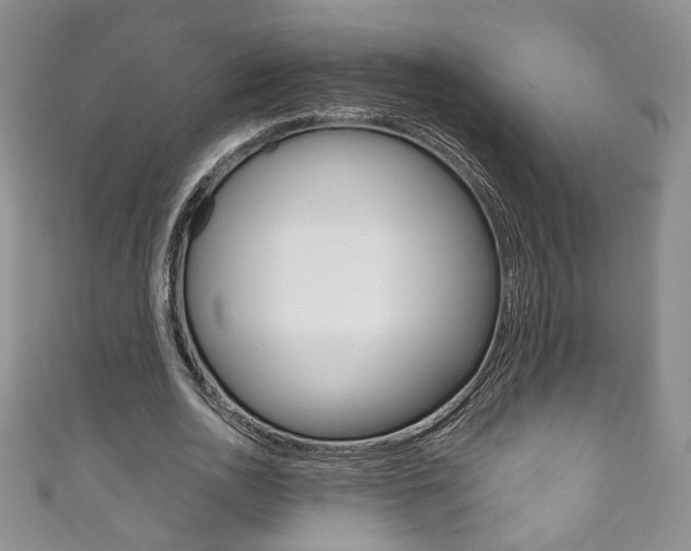 X0000111160726200906301057