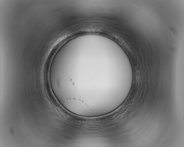 X0000111160727200906301057