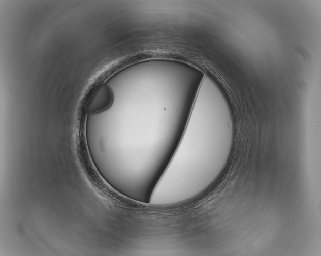 X0000111160728200906301057