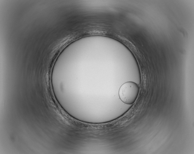 X0000111160729200906301057