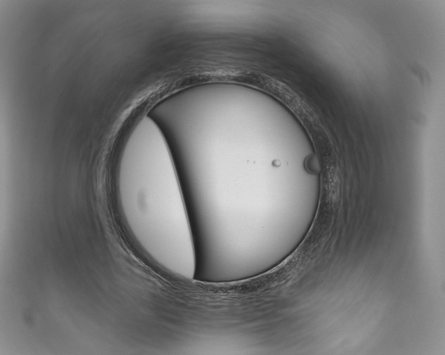 X0000111160731200906301057