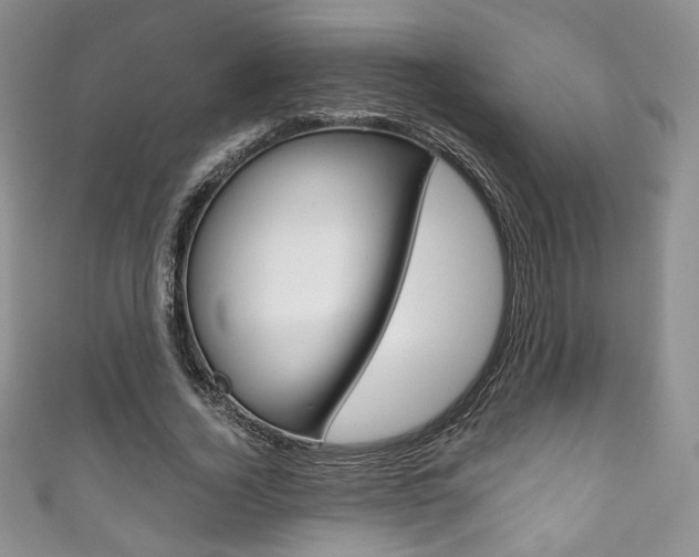 X0000111160732200906301057