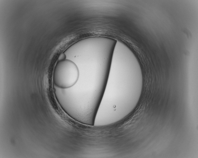 X0000111160734200906301057