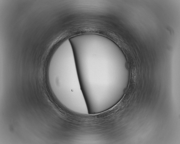X0000111160735200906301057