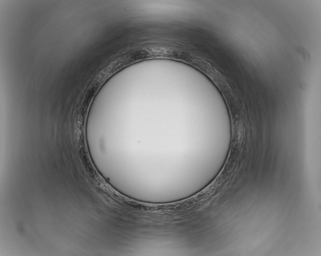 X0000111160737200906301057
