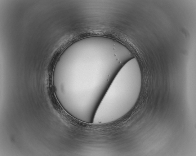 X0000111160738200906301057