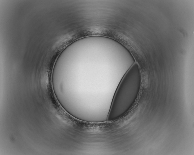 X0000111160740200906301057