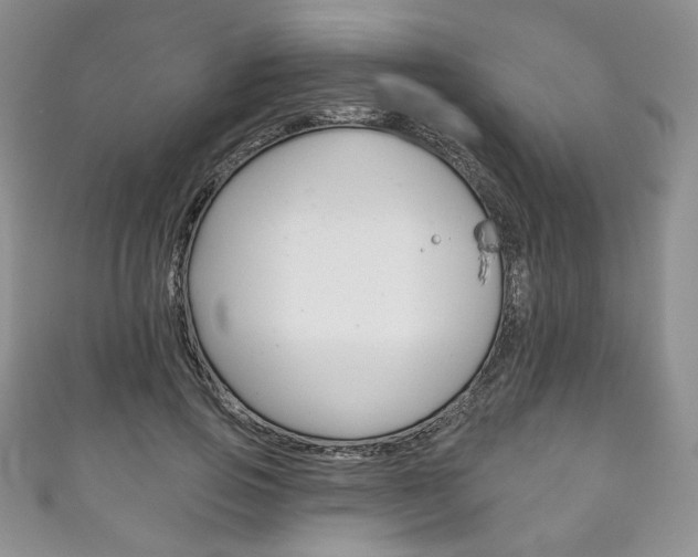 X0000111160741200906301057