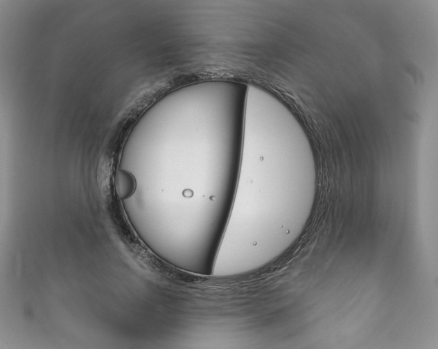 X0000111160742200906301057