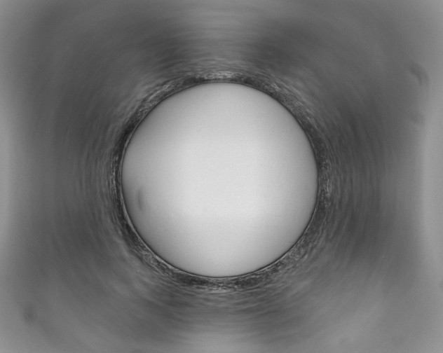 X0000111160743200906301057
