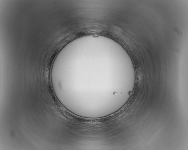 X0000111160745200906301057