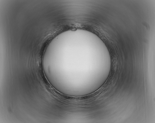 X0000111160747200906301058