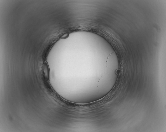 X0000111160748200906301058