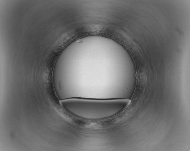 X0000111160750200906301058