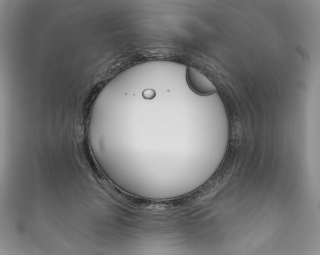 X0000111160751200906301058