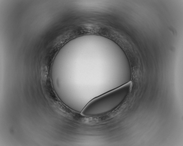 X0000111160752200906301058