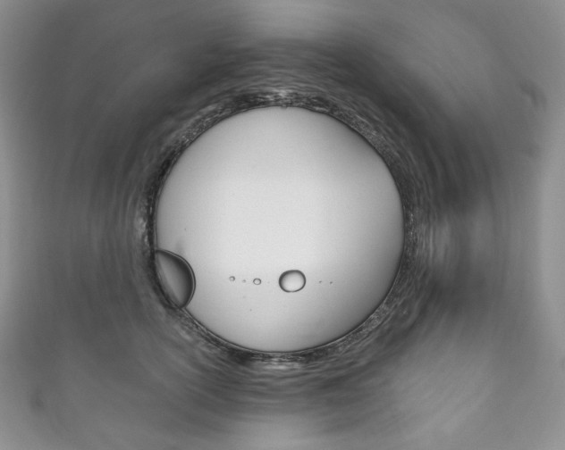 X0000111160754200906301058