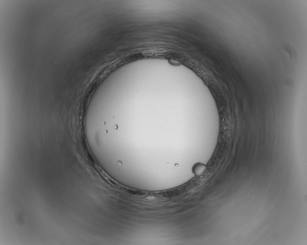 X0000111160755200906301058