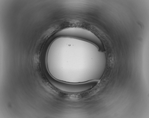 X0000111160756200906301058