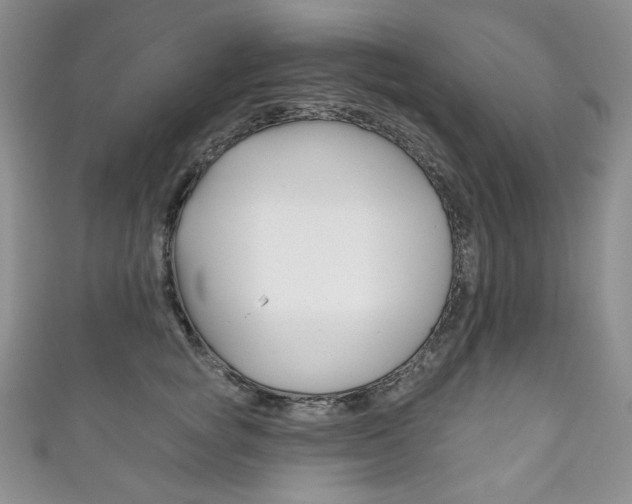 X0000111160757200906301058