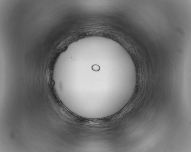 X0000111160758200906301058