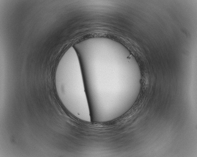 X0000111160759200906301058
